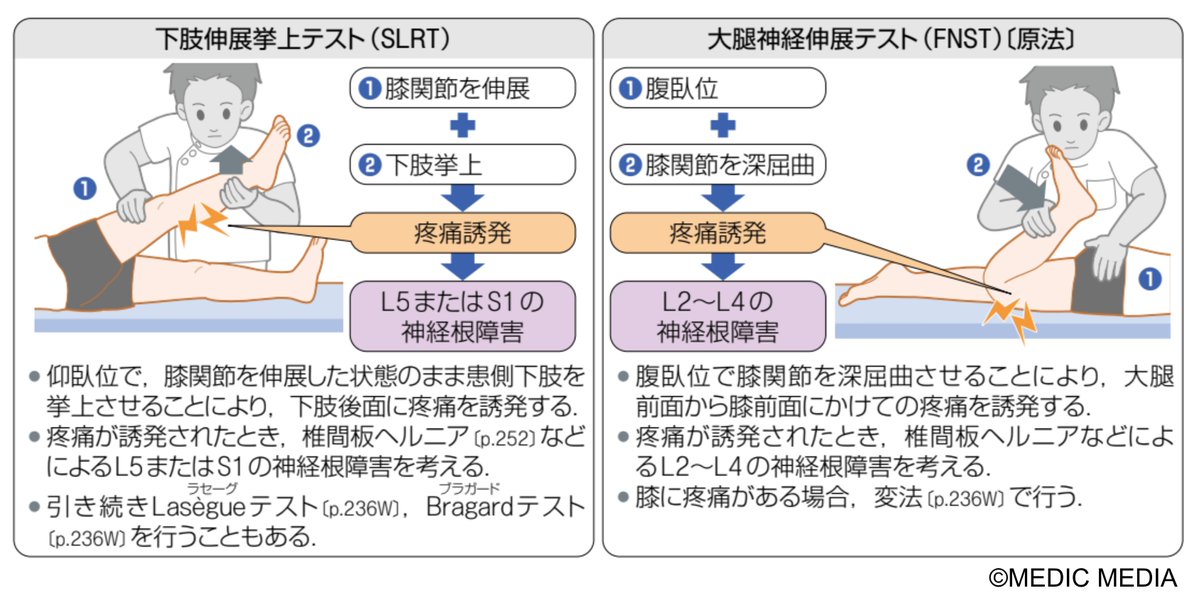 病気がみえる tweet media