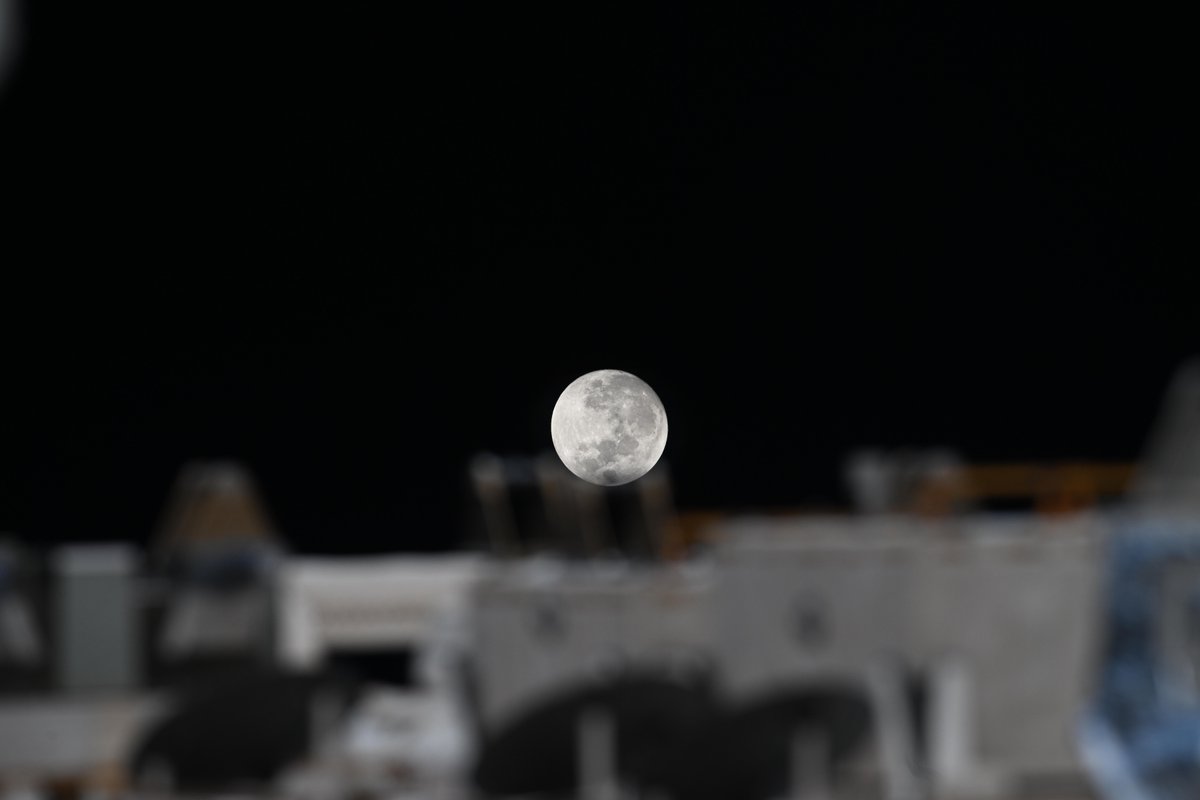 Adenot Sophie tweet media