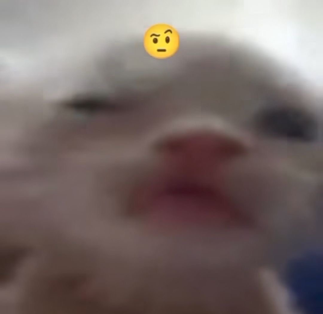 Bé - Tarot Reader🃏 | @ after DM❤ tweet media