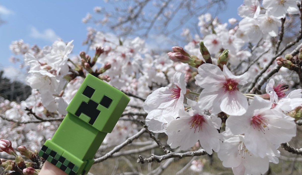 菓子パン食べないで tweet media