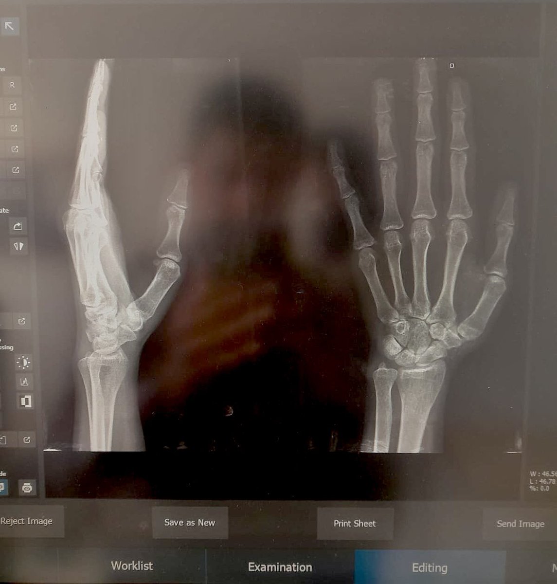 𝓔𝓥𝓐 🦜𓂆🇵🇸 tweet media