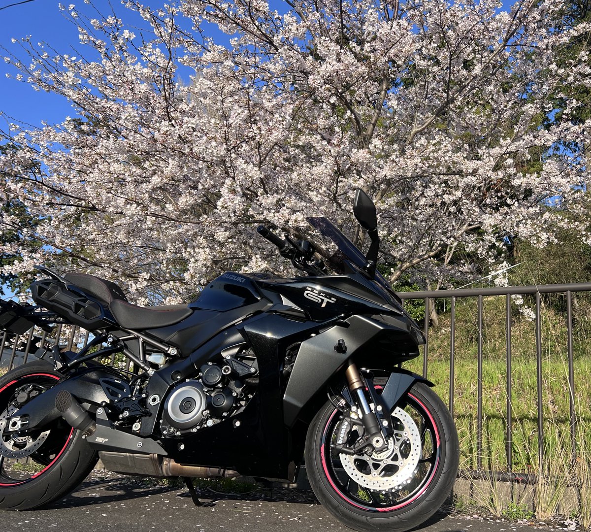 天然パーマ tweet media