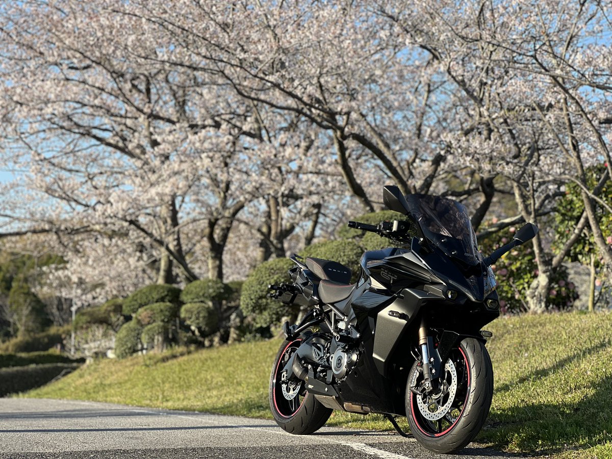 天然パーマ tweet media