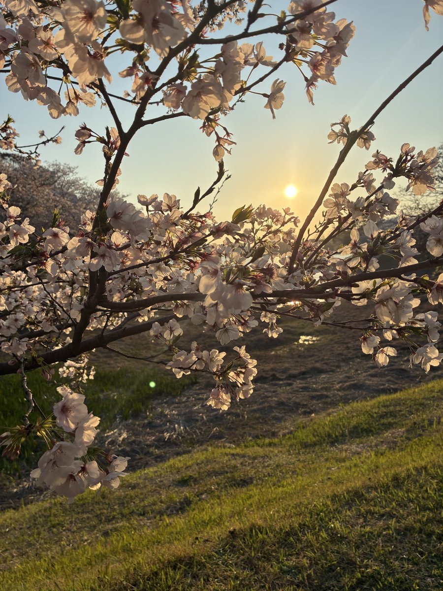 doku_avigirl tweet media