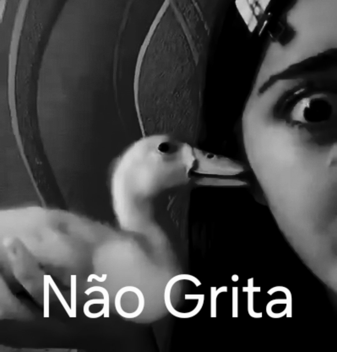 Gatriqsix tweet media