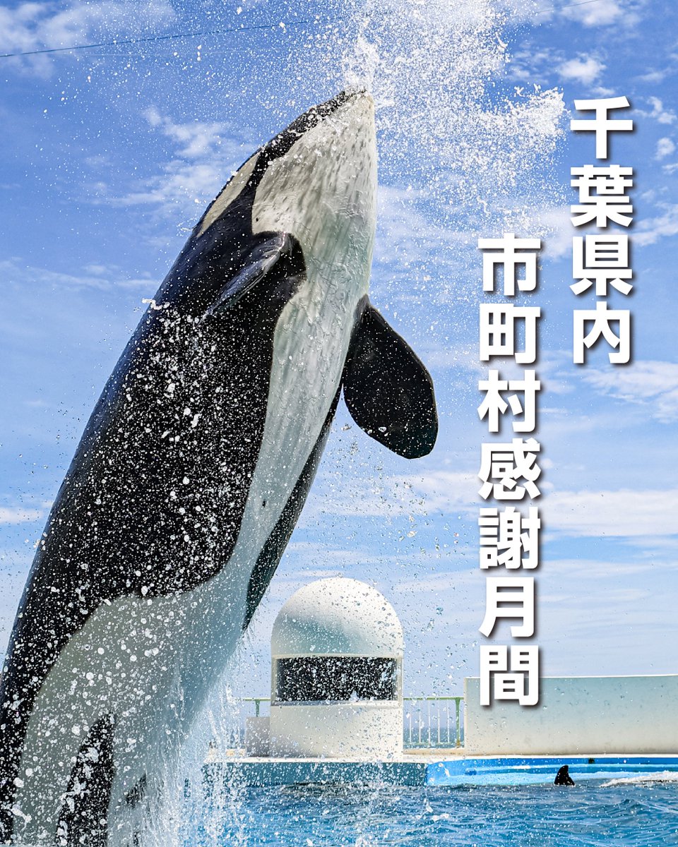 鴨川シーワールド【公式】 tweet media