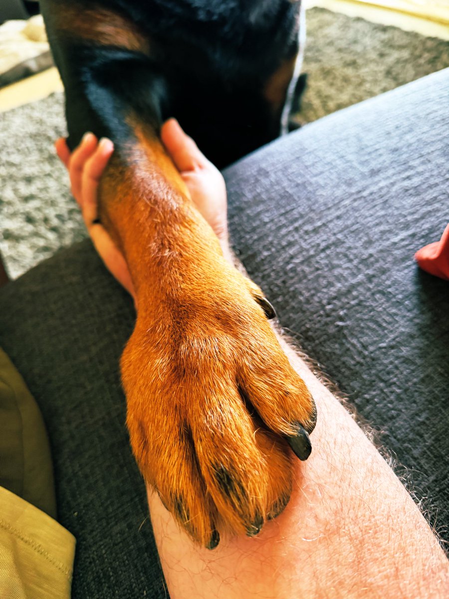 The Naughty Unicorn tweet media