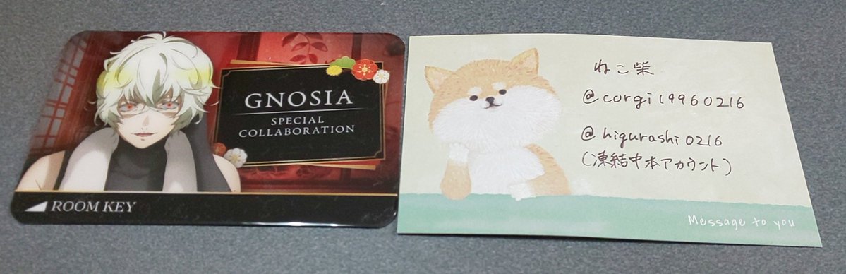 ねこ柴2@本垢凍結 tweet media