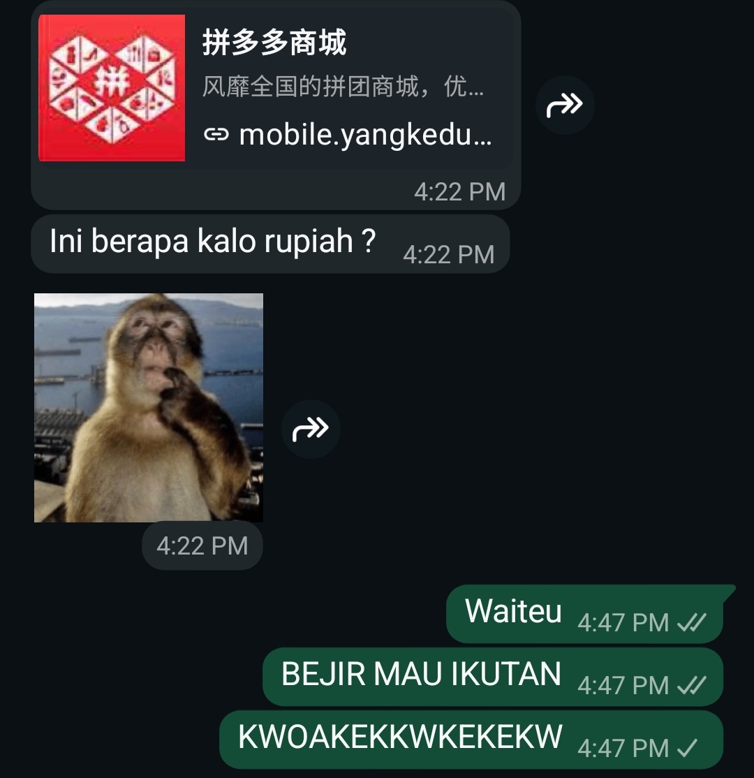 Luciel. | PERSONAL ORDERS OPEN tweet media