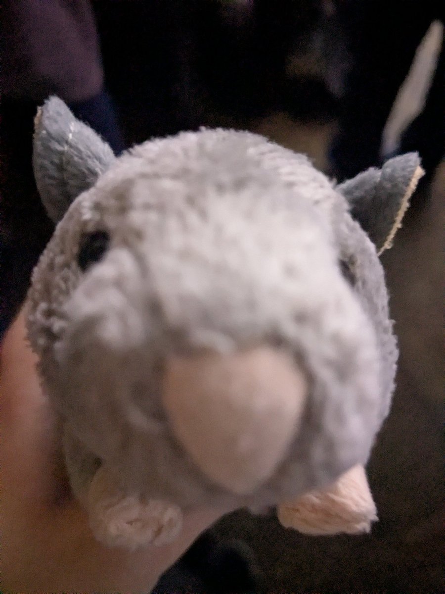 willow has a song that nobody knows tweet media