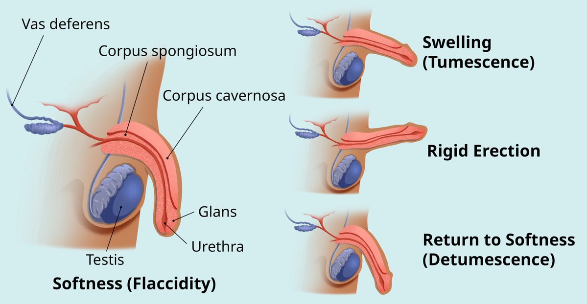 33 reasons NOT to masturbate:

1. Kills your confidence