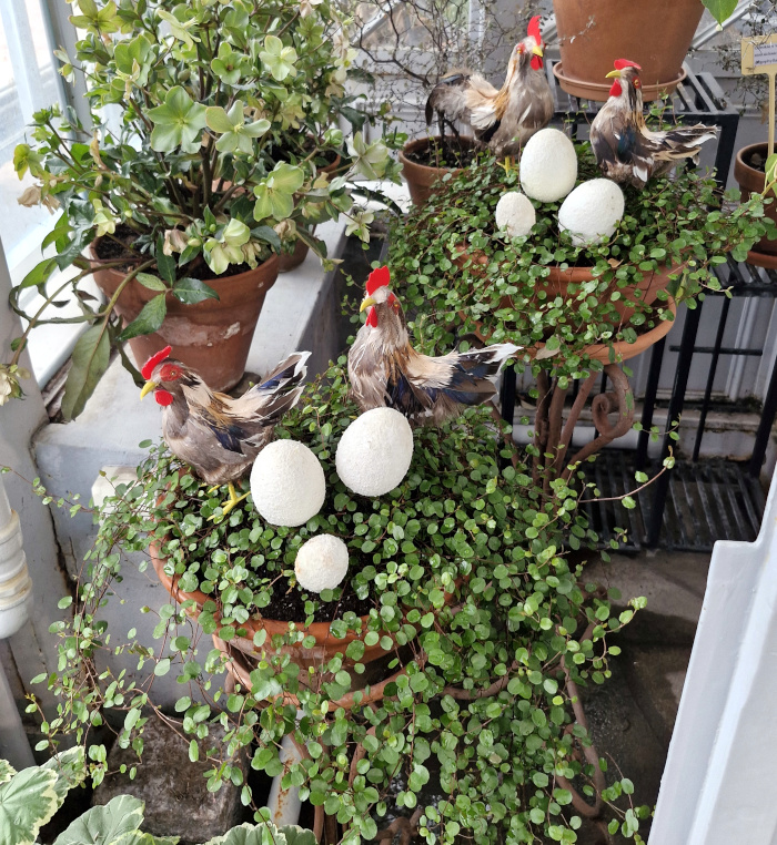 Mika Lappalainen tweet media