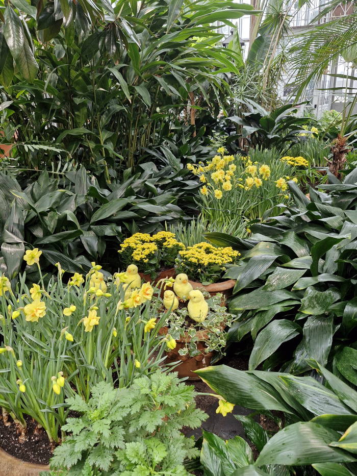 Mika Lappalainen tweet media