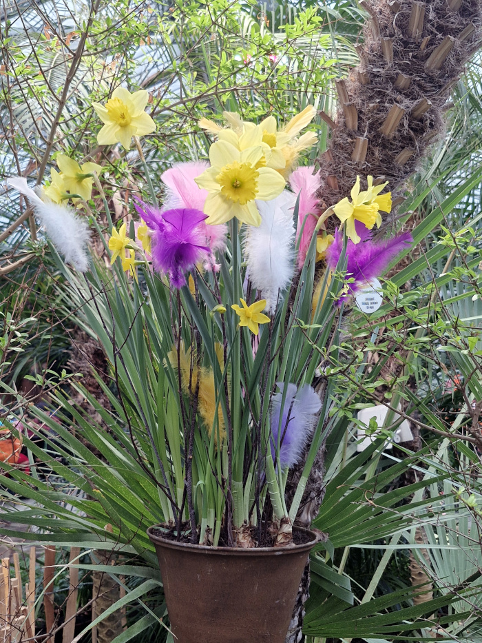 Mika Lappalainen tweet media