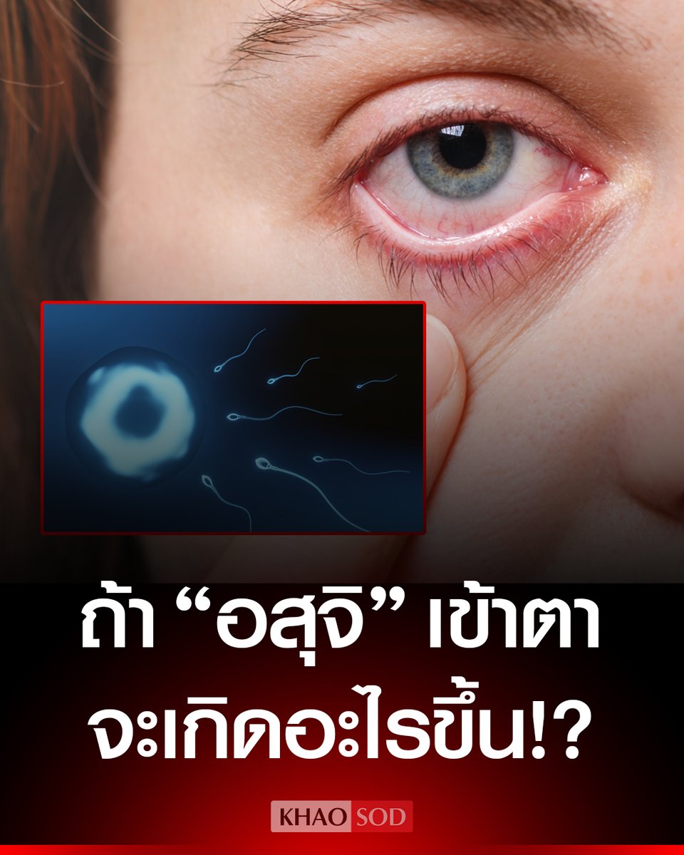 Khaosodonline tweet media