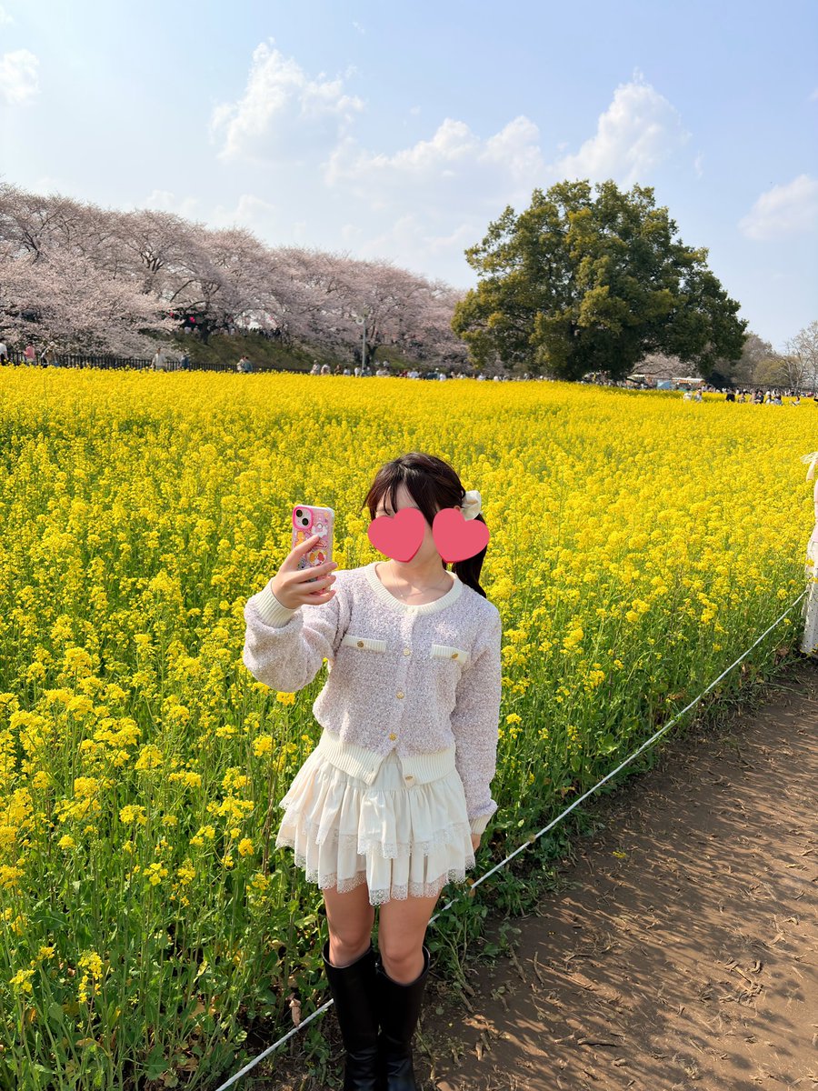 ˑ·ཻ✵ まりあ tweet media
