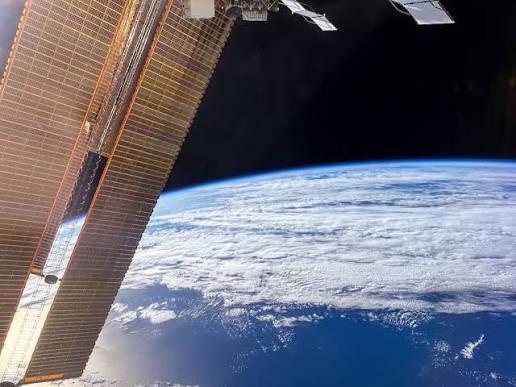 BrainbellJangler tweet media