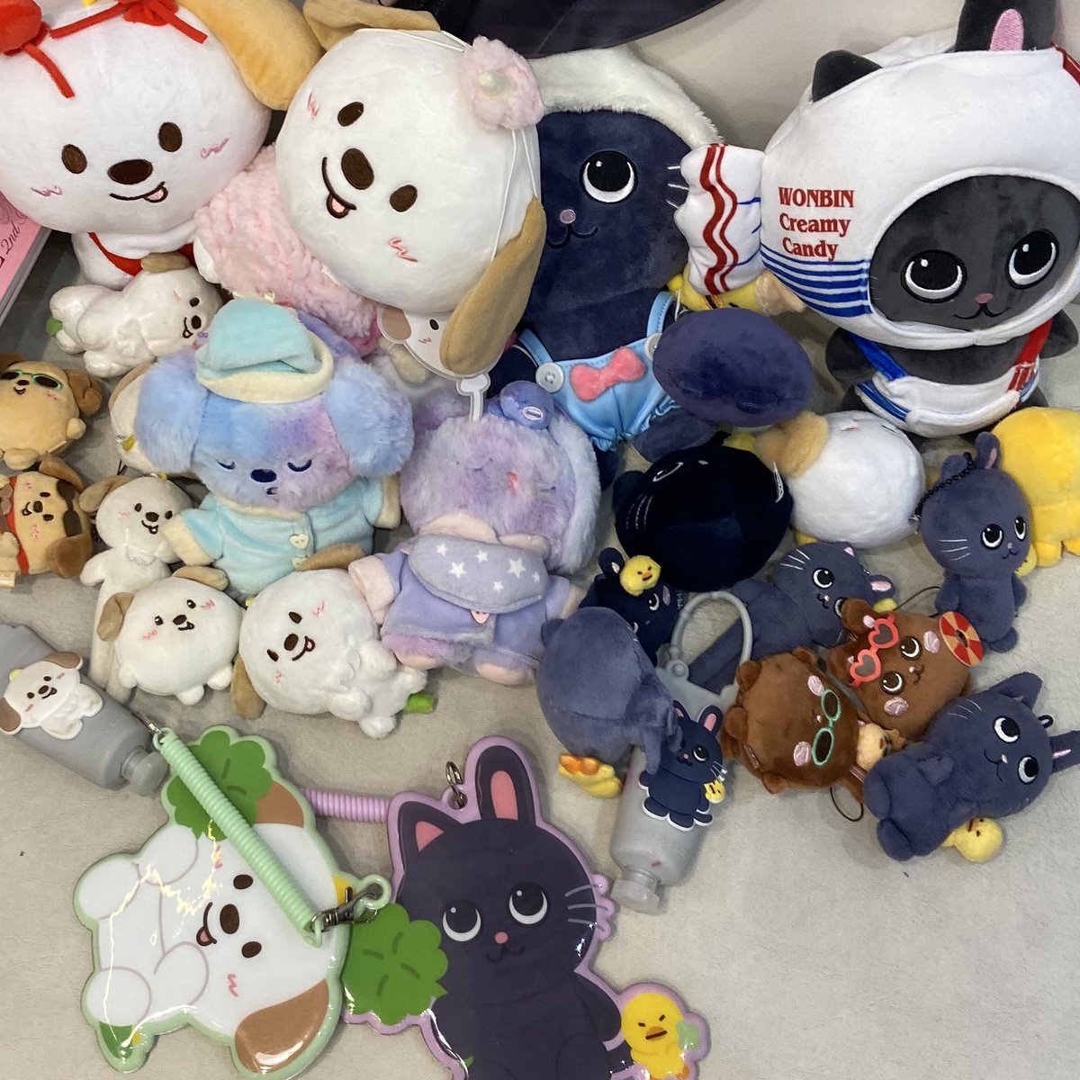 🐶 + 🐈‍⬛ = 🥟 (@ATONOFWONFETTI) / Posts / X