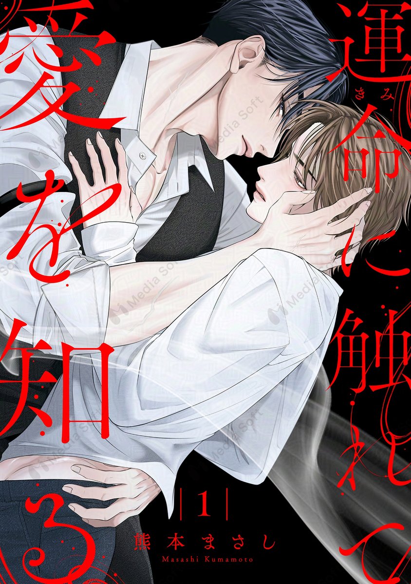 モコミヤ🐑☁ 商業BLオタク tweet media