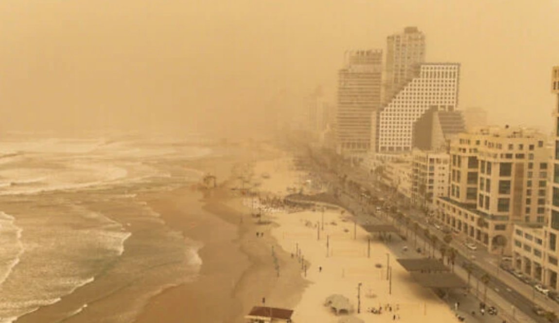 i24NEWS English tweet media