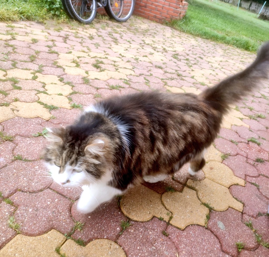 Karl 🇹🇫🍺🚜 tweet media