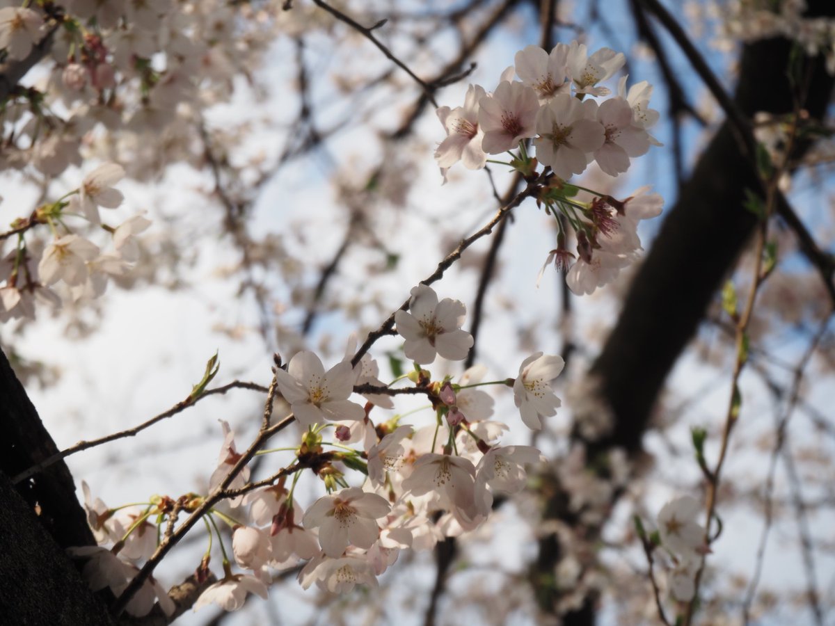 カロク@RUNTEQ70期A tweet media