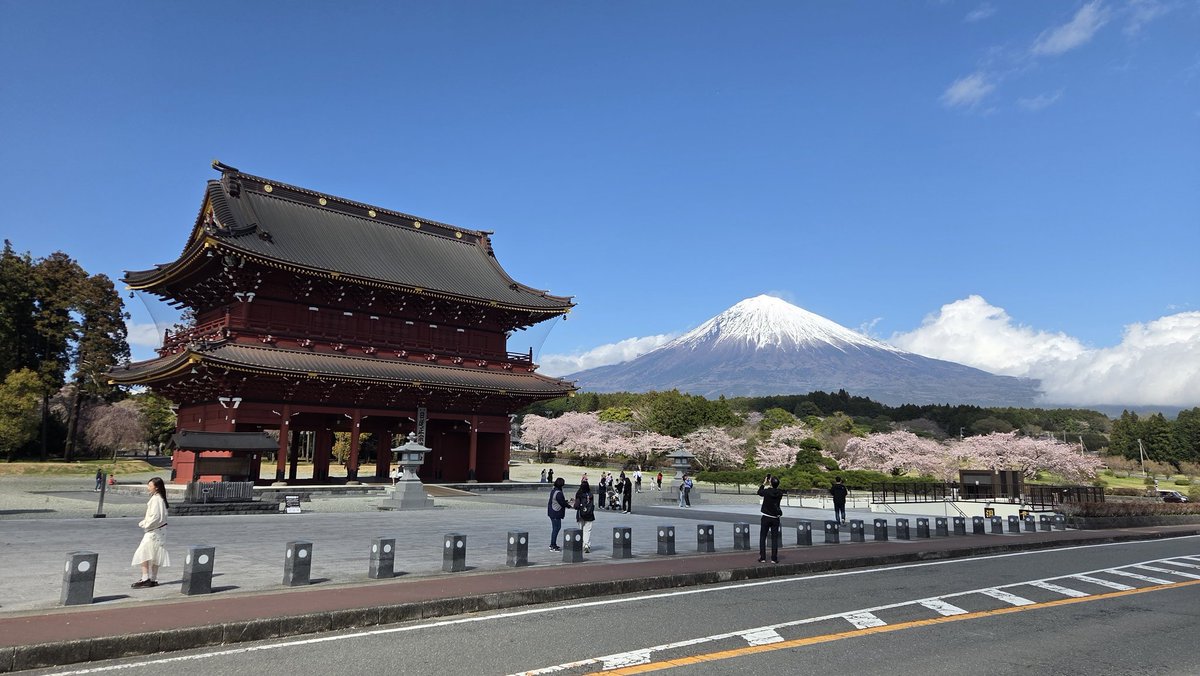 さえぴ～ tweet media