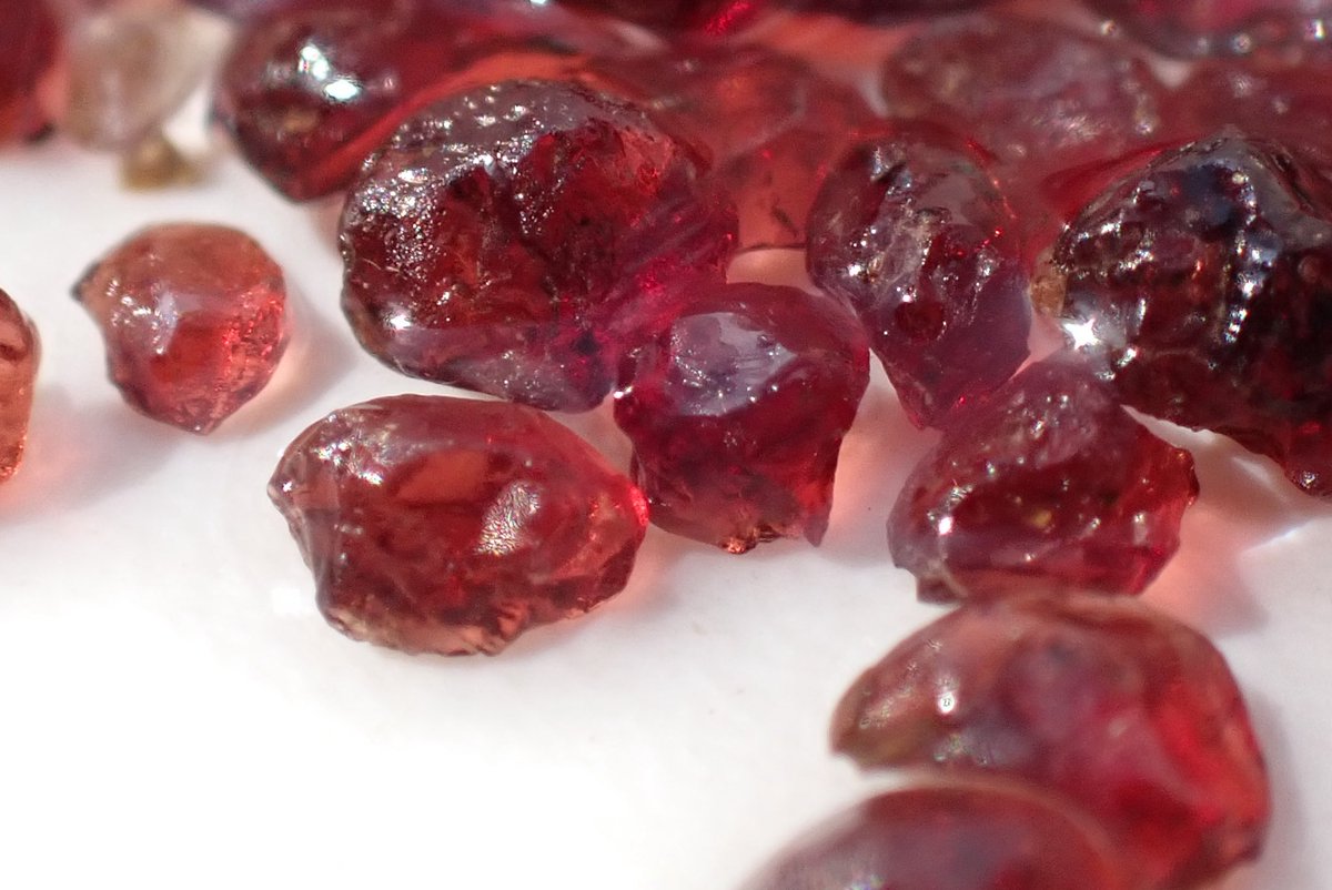 新之介 tweet media