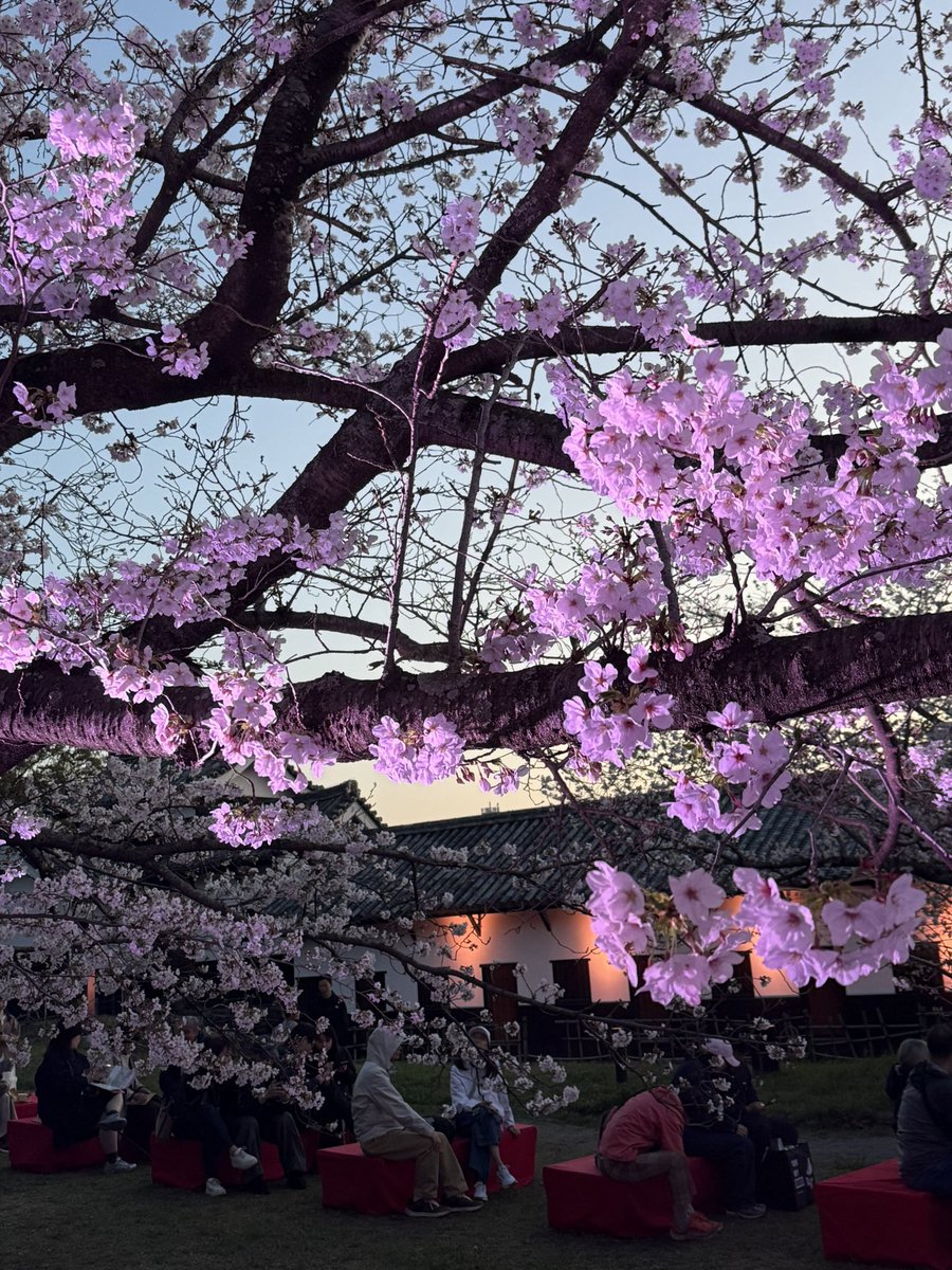 coldsleep 冷睡🌈🦈 tweet media