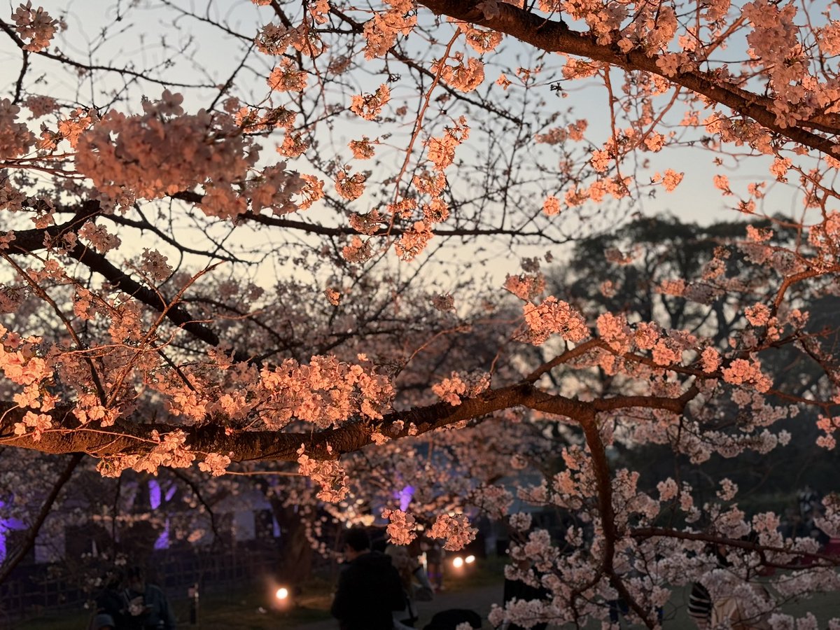 coldsleep 冷睡🌈🦈 tweet media