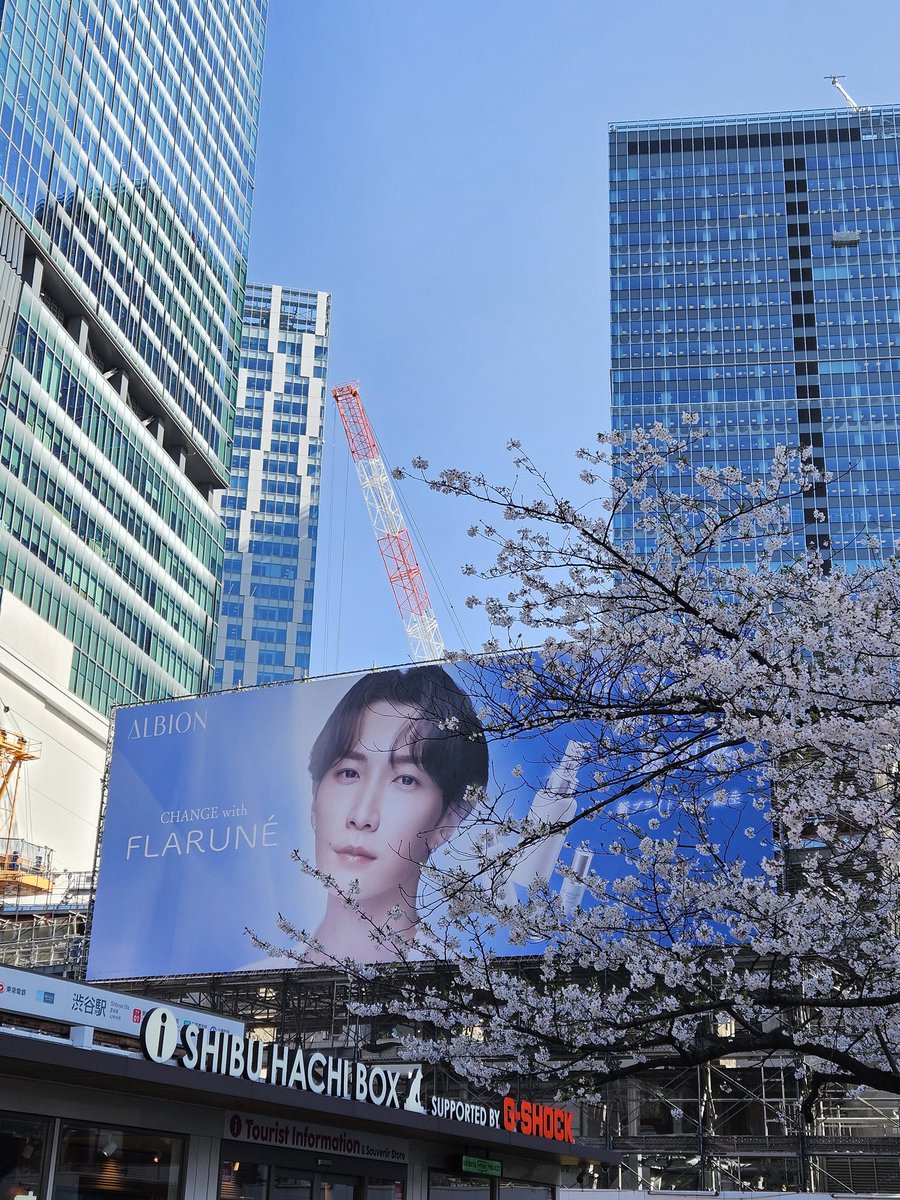 𝚂𝚊𝚊𝚢𝚊 tweet media