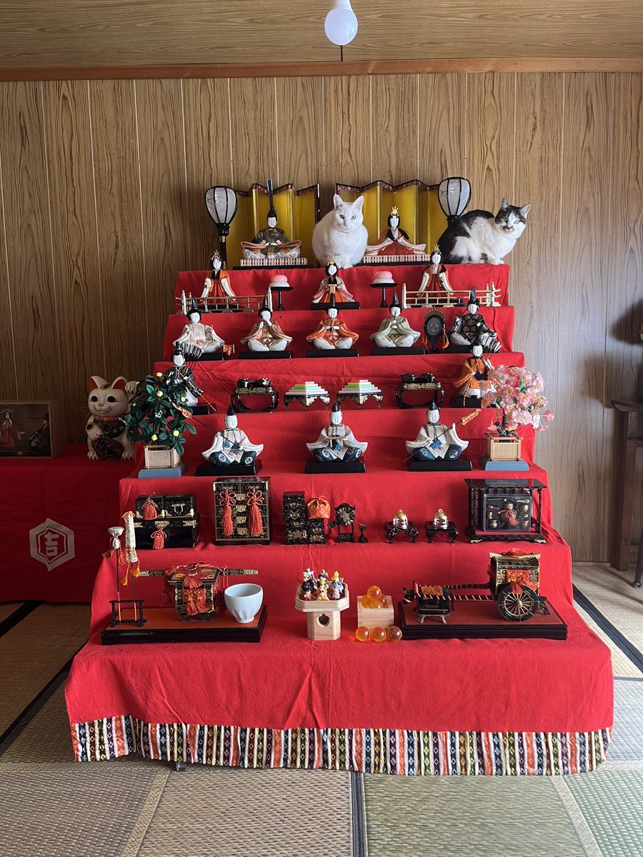 いのうえもんぺ tweet media