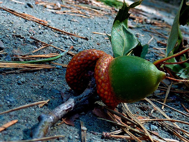 Jason Hendricks tweet media