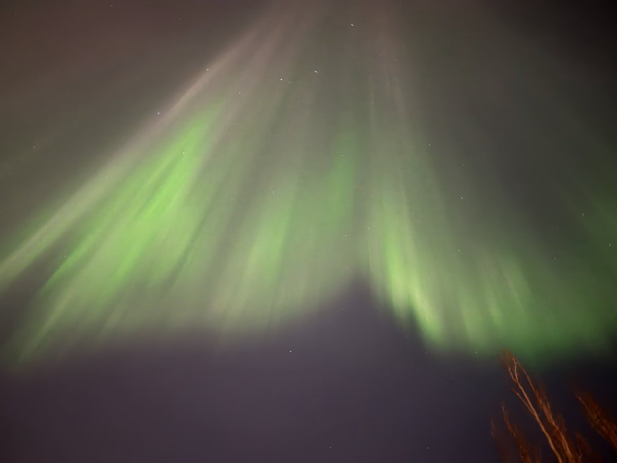 _byronjohnson's tweet photo. Waking up in the middle of the night has its advantages.  @BonnyvilleAB 2:45 am. #aurora #northernlights #spaceweather #auroraborealis #Bonnyville #NorthofExpected https://t.co/9uvvIVUD33