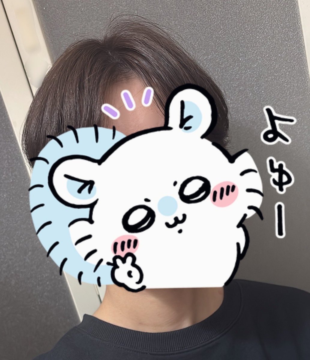 はるくん tweet media