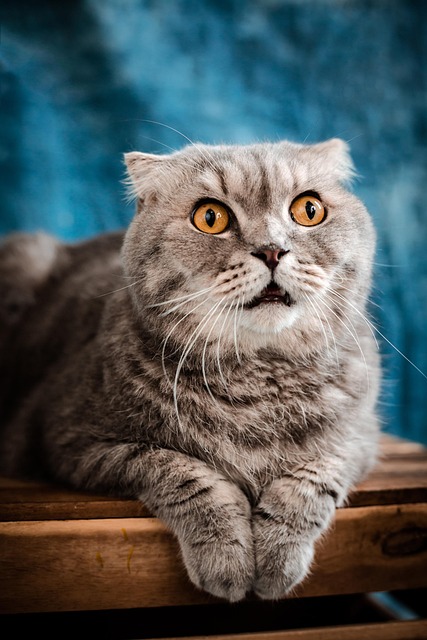 Tammy King tweet media