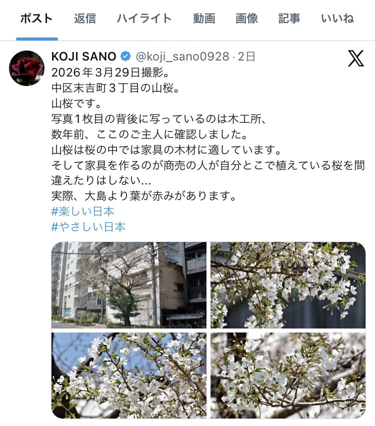 KOJI SANO tweet media