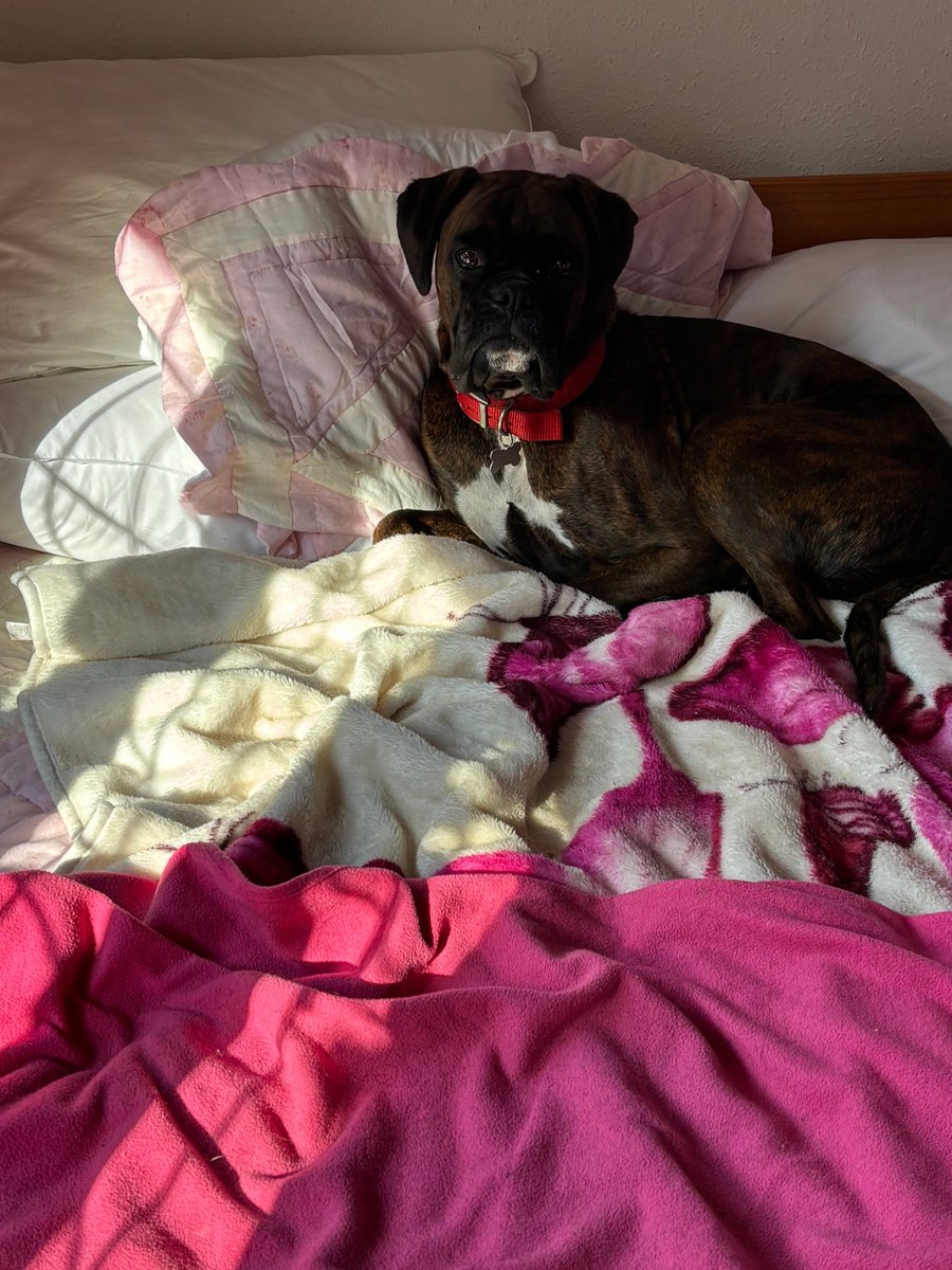 Oh dear been caught out again on the bed