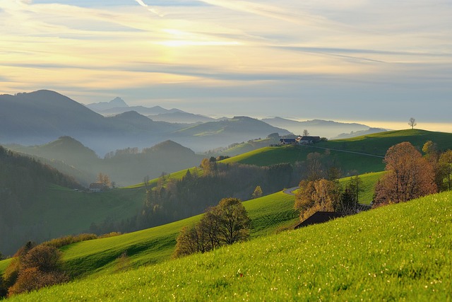 Brian Frederick tweet media