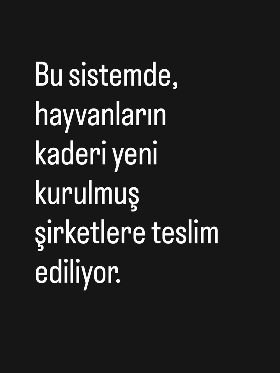 Haydar Özkan tweet media