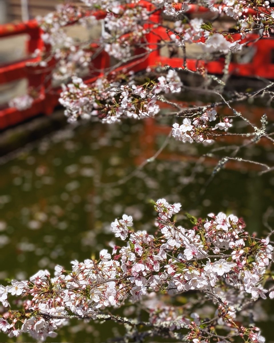 えり | 和歌山のホームページ制作やさん =Aster Work= tweet media