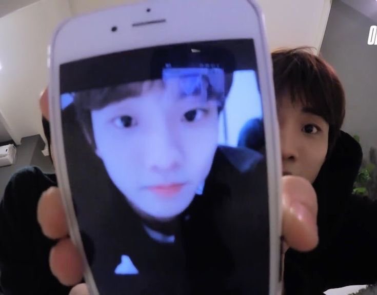 뉴냥이 tweet media