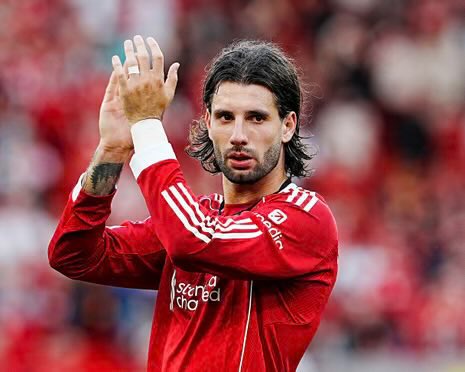 𝓦𝓲𝓵𝓯 tweet media