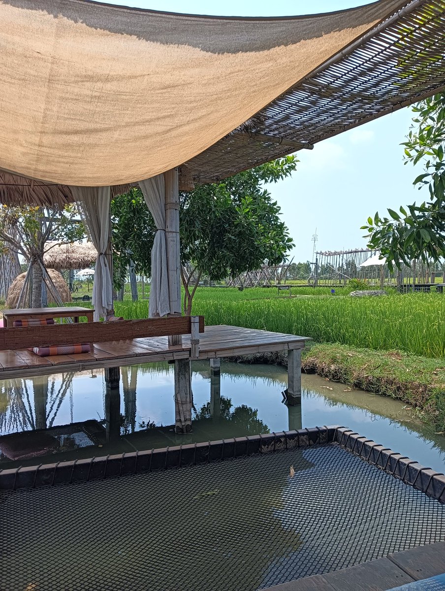 good luck tweet media