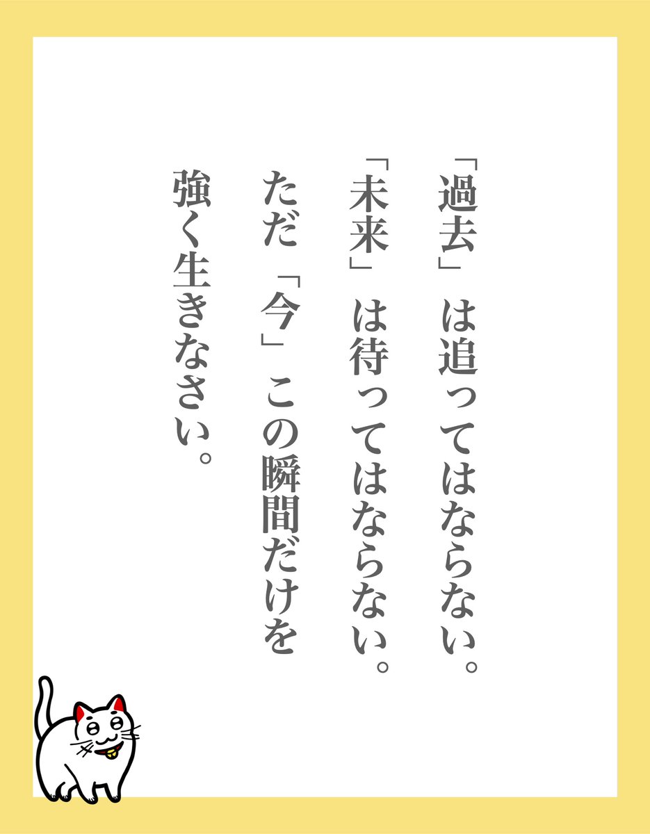 ねこ| しあわせを招く tweet media