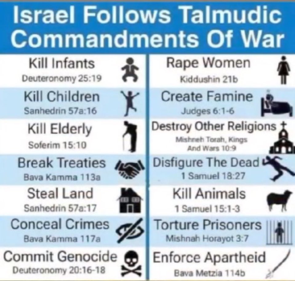 @offthegridMarbella tweet media