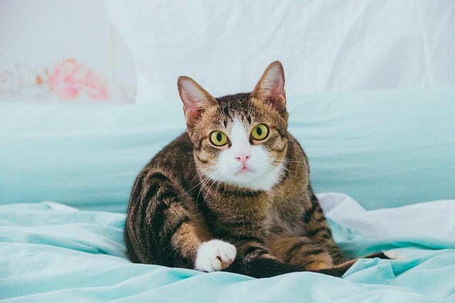 Michelle Moore tweet media