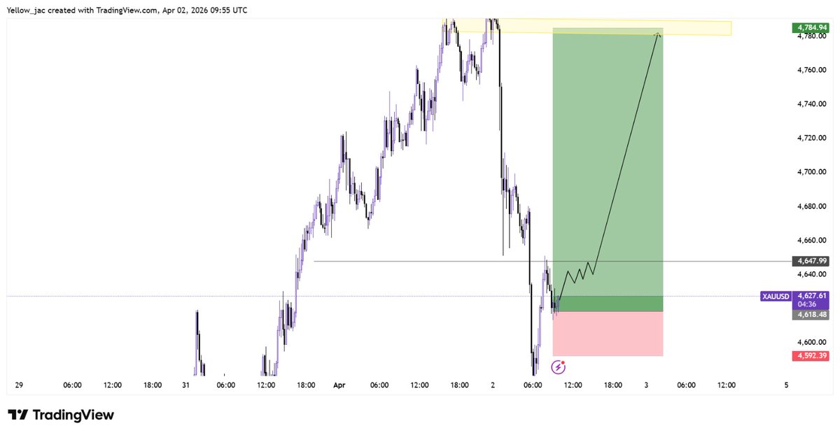 GOLD PRO TRADER🙅 tweet media