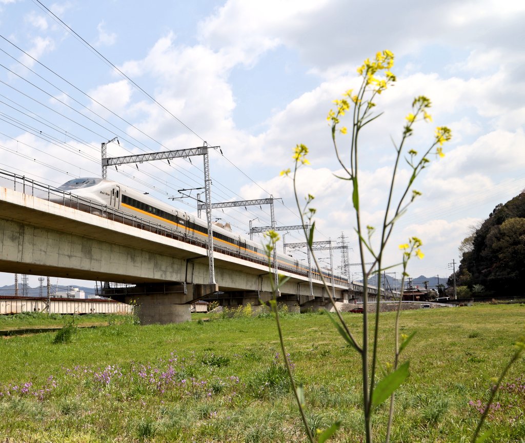 金魚のひろし tweet media