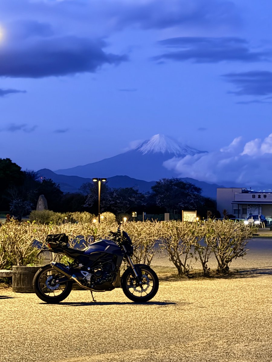 MARIN-san tweet media